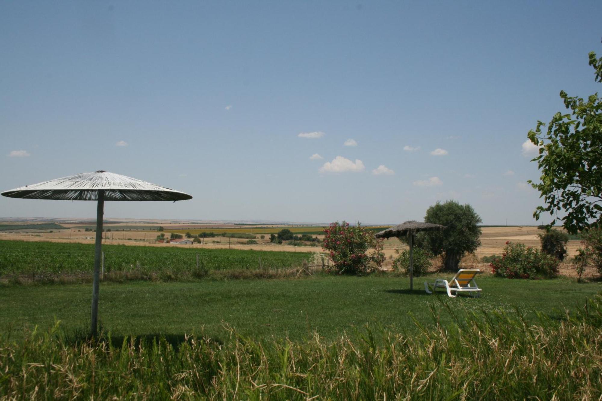 Monte Da Morena Agro-Turismo Serpa Extérieur photo