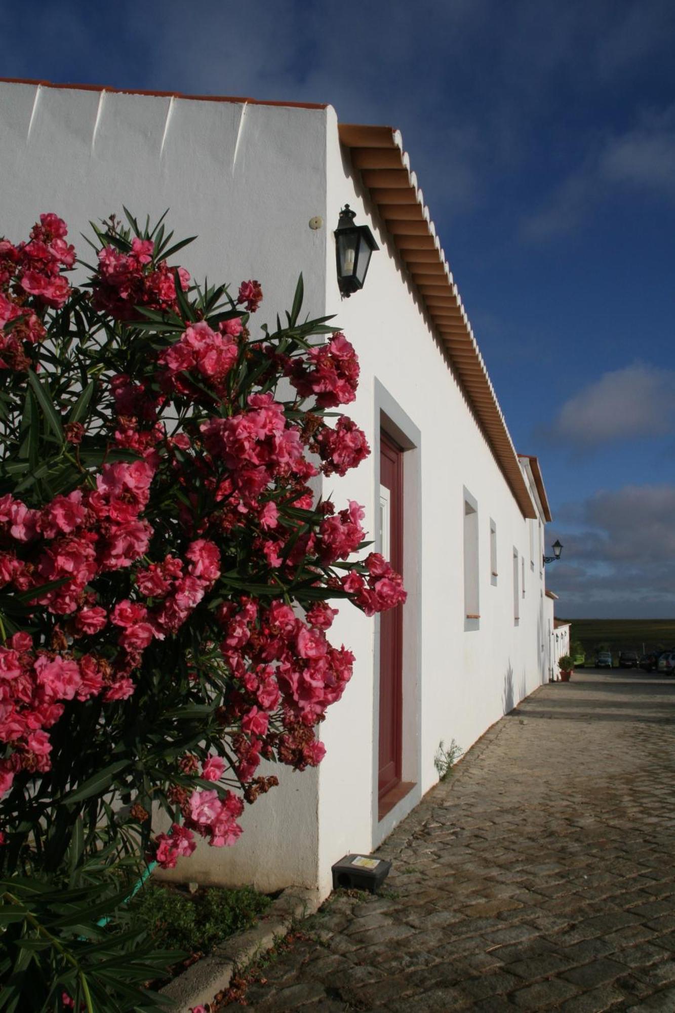 Monte Da Morena Agro-Turismo Serpa Extérieur photo