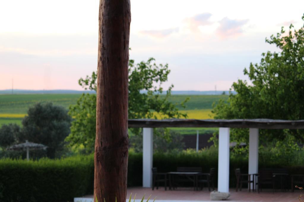 Monte Da Morena Agro-Turismo Serpa Extérieur photo